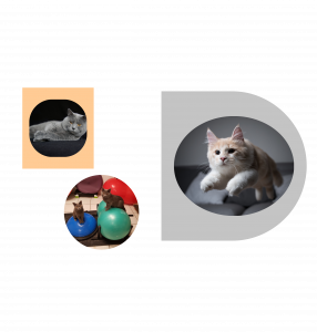 Kaatzentraining in balance 6 katzentraining